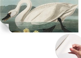 Dekoratív öntapadós fotótapéta Hálószobába Hattyú és nenufary 250x104