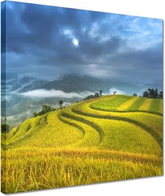 Festmények 30x30 Kilátás Tájkép