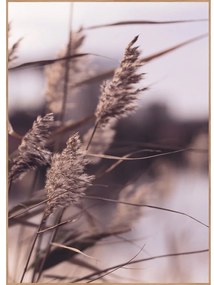 Kép 50x70 cm Mellow Grasses 3 – Malerifabrikken