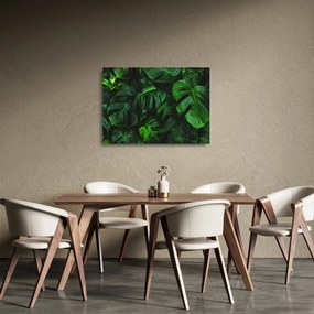 Monstery levelek képe (üvegen) (70x50 cm)