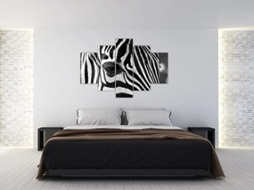 Zebra képe (150x105 cm)