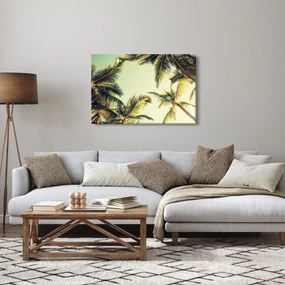 Kép kókuszpálmával (90x60 cm)