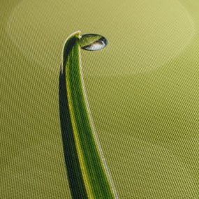 Víz csepp a fűben képe (órával) (90x30 cm)