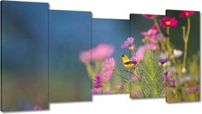 Vászonkép 150x80 Madarak