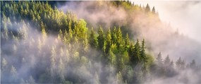Egy hegyi táj képe (120x50 cm)