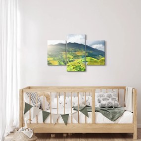 Ültetvények képe (90x60 cm)