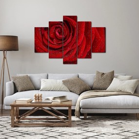Kép - részlet a rózsáról (150x105 cm)