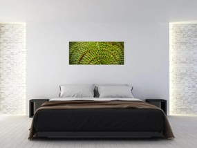 Kép - Fern (120x50 cm)