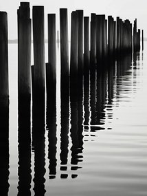 Poszter 30x40cm Víz és fa ritmusa