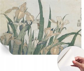 DekoratĂv öntapadĂłs fotĂłtapĂ©ta irodĂĄba Finom Ăriszek 104x70 cm