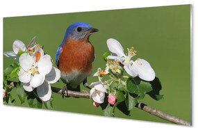 Akrilkép Virág színes papagáj 100x50 cm