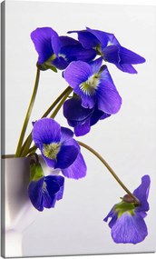 Botanika vászonkép Lila ibolyák 60x100