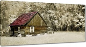 Vászonkép 115x55 Rönkház Bale