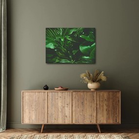 Kép - Pálmalevél (70x50 cm)