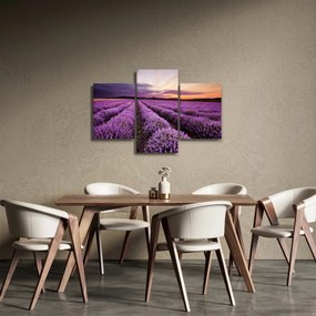 Kép - Levendulamező naplementében (90x60 cm)