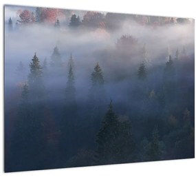 Kép - erdő a ködben, Carpathians, Ukraina (üvegen) (70x50 cm)