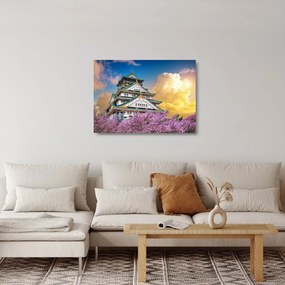 Üveg kép - Oszaka vára (70x50 cm)