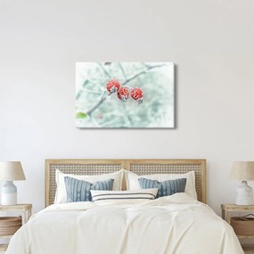 Fagyasztott csipkebogyó képe (90x60 cm)