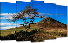 Vászonkép 100x60 Elpusztíthatatlan fa