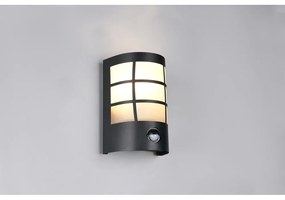 Fali kültéri lámpa (magasság 20 cm) Sintra – Trio