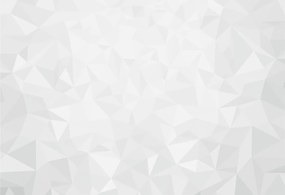 Fotótapéta Flizelin Fali ragasztó készlet Absztrakt minta 152x104 Ragasztó