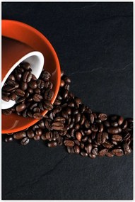 Poszterek 80x120 Kávé Kaffe