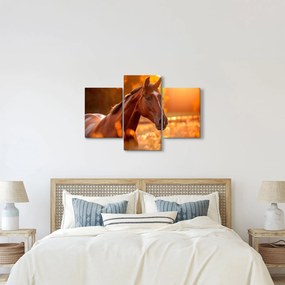 Kép - Ló a naplementében (90x60 cm)
