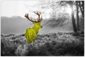 Poszterek 120x80 Sárga szarvas Erdő Tájkép