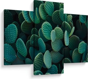 Kép - Opuntia (90x60 cm)