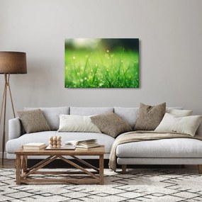 Kép - harmatos fű (90x60 cm)