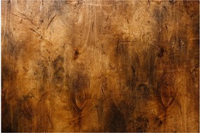 Kép - Fa részlete (90x60 cm)