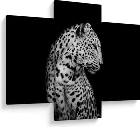 Kép - Leopárd (90x60 cm)