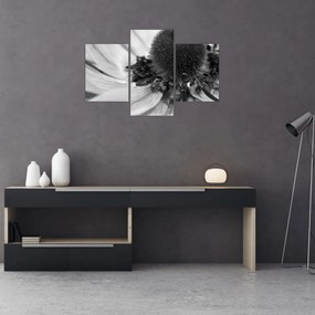 Kép - Virág fekete-fehérben (90x60 cm)