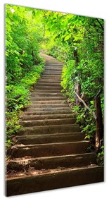 Üvegfotó Lépcsők az erdő osv-64602370
