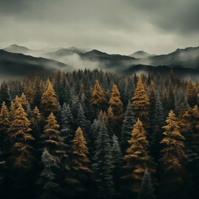 Poszter 90x90cm Ködös reggel