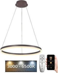 Brilagi - LED dimmelhető kábeles csillár CIRCLE LED/42W/230V 3000-6500K barna+ távirányító