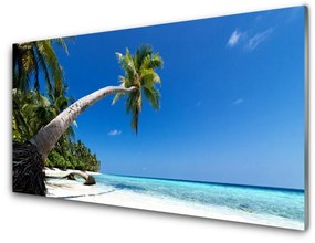 Üvegkép falra Palm Beach Sea Landscape 140x70 cm