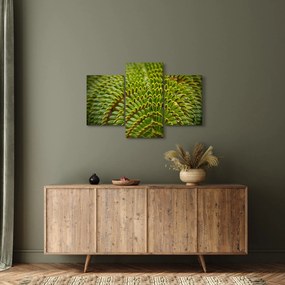 Kép - Fern (90x60 cm)