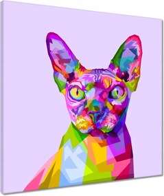 Vászonkép 50x50 Cica