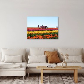 Tulipánfarm képe (70x50 cm)