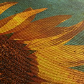 Kép - napraforgó (70x50 cm)