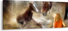 Kép - Üdvözöljük a világban, csikó (120x50 cm)