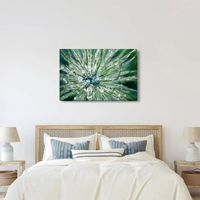 Kép - Makro kép egy virágról (90x60 cm)