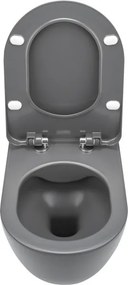 Peonia PN WC + tető antracit, titanium