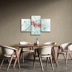 Fagyasztott csipkebogyó képe (90x60 cm)