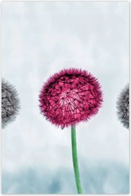 Poszterek 80x120 Szürke-lila