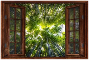 Poszter 60x40 Bambusz trópusi erdő