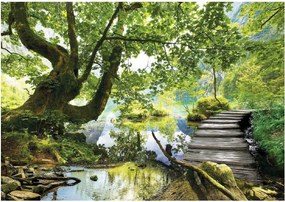Fotótapéta Fa 3D Erdő Tó Tájkép Természet Híd Tapéta 368x254