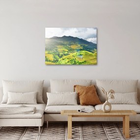Ültetvények képe (70x50 cm)