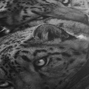 Kép - Pihenő gepárdok (120x50 cm)